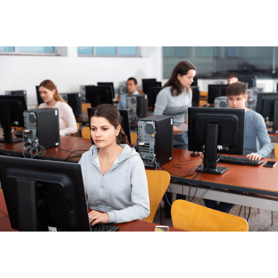 Web Development